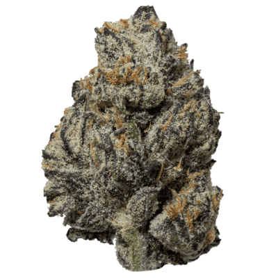 Black Truffle(INDICA)