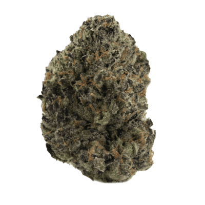 Gush Mintz(INDICA)