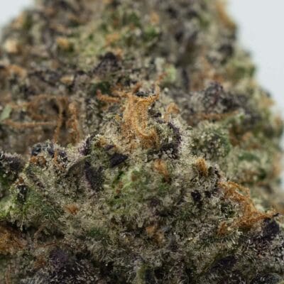 Gush Mintz(INDICA) - Image 2
