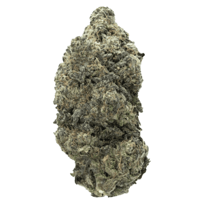 Hash Burger(HYBRID)