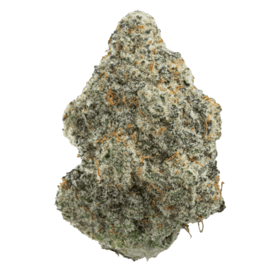 MAC 1(HYBRID)
