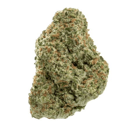 Papaya Punch(HYBRID)