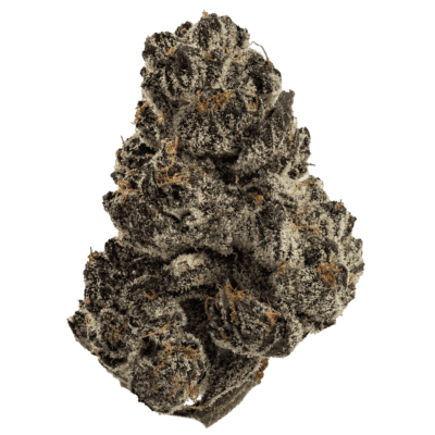 Karamel Kutthroat(HYBRID)